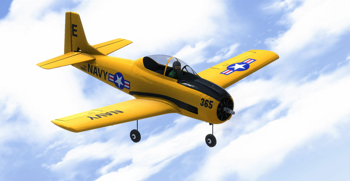 RealFlight Trainer Edition RC Flight Simulator with WS2000 Wireless Simulator USB Dongle