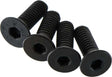 Flat Head Screw 4x12mm (4)