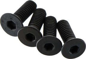 Flat Head Screw 4x12mm (4)