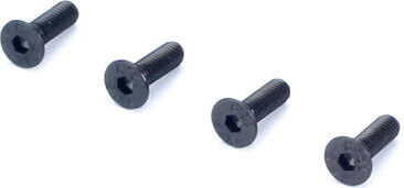 Flat Head Socket Screws, 3x10mm