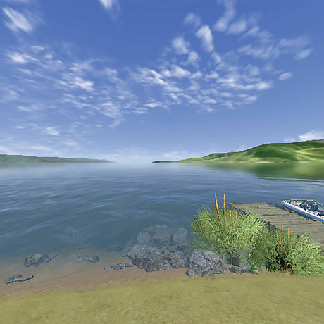 RealFlight Trainer Edition RC helicopter Flight Simulator with SLT6 Transmitter/Controller